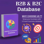 1 Crore B2B And B2C Database
